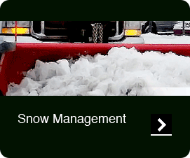 Snow Management